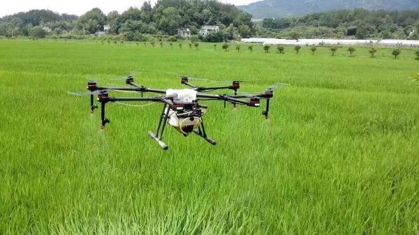 数说“三农”丨25万架植保无人机：春耕时节的科技新军